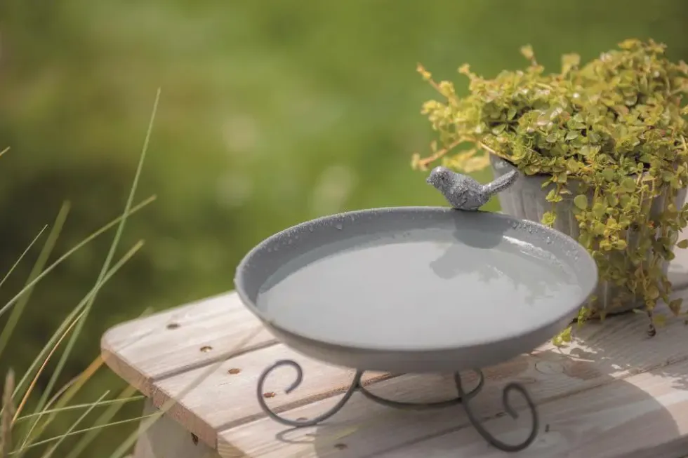 Abreuvoir mangeoire pour oiseaux en métal à poser au sol Trixie - 800 ml