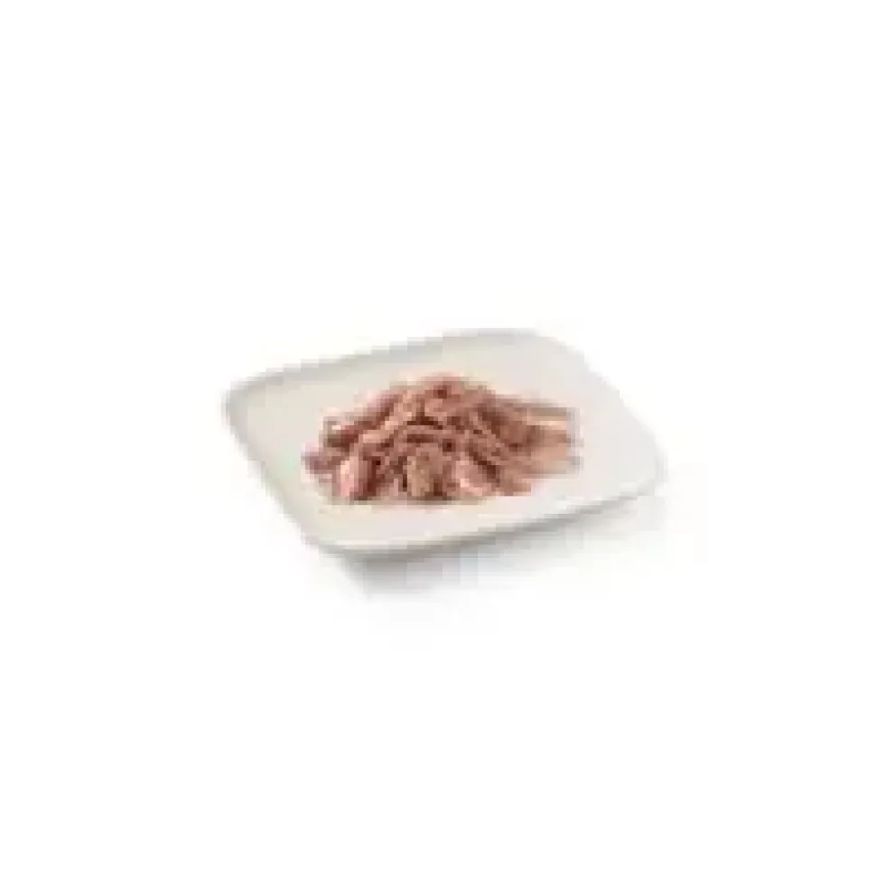 Aliment humide pour chien Schesir Thon gelée - 150 g