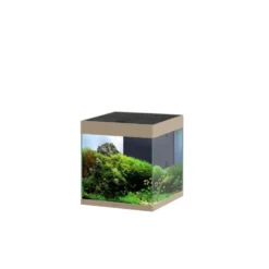 Aquarium équipé Ciano Emotions Pro 40 Mystic 52 L - 40 x 40 x 43 cm