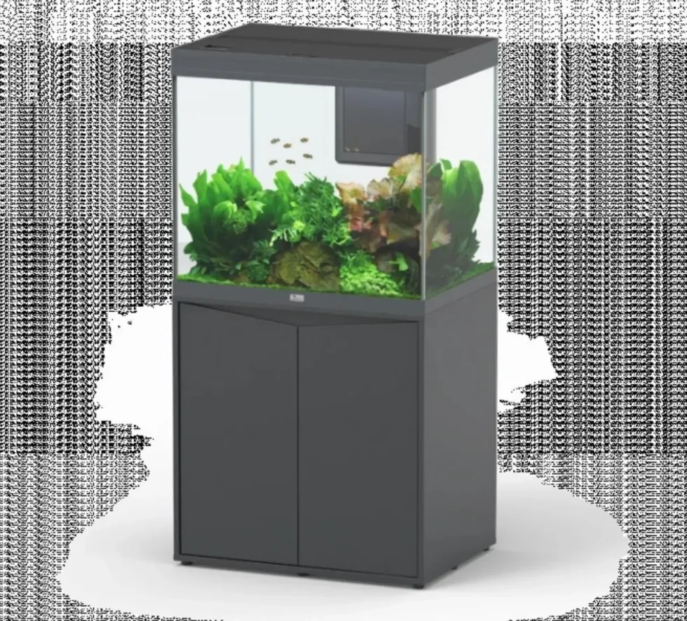 Aquarium tout équipé, Gris anthracite mat - AQUATLANTIS Volga 200 - 242L