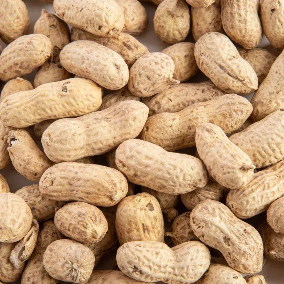 Arachides entières pour oiseaux Grain de Vie - 500 g