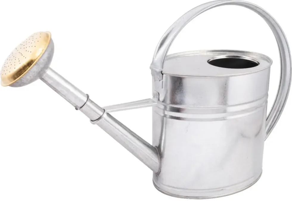 Arrosoir en acier galvanisé coloris argent Nogent - 4 L