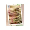 Asperge Super Argenteuil Bio. Le filet de 12 griffes