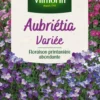 Aubrétia Variée Vilmorin - graines à semer