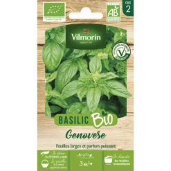 Basilic Genovèse Bio Vilmorin - graines à semer