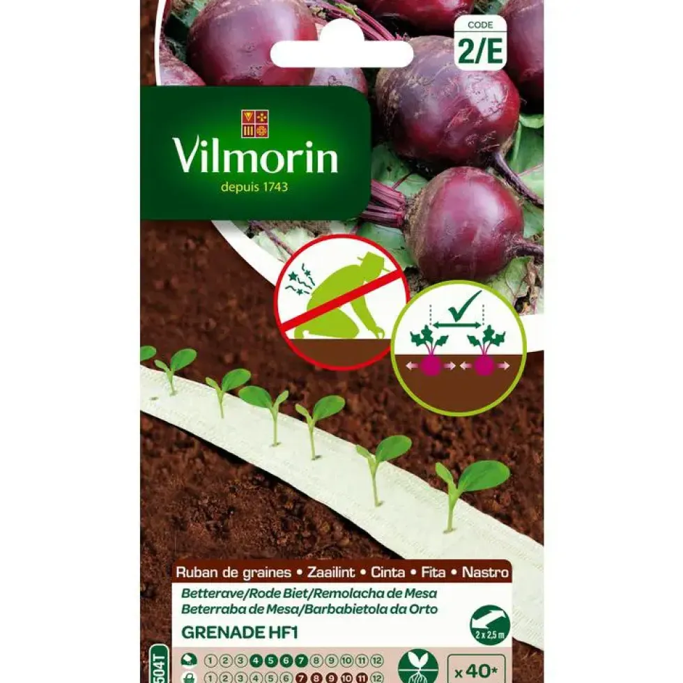 Betterave Grenade H F1 Vilmorin - Ruban de graines à semer