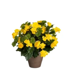 Bégonia jaune artificiel en pot gris Edelman - Ø 36 x H 37 cm