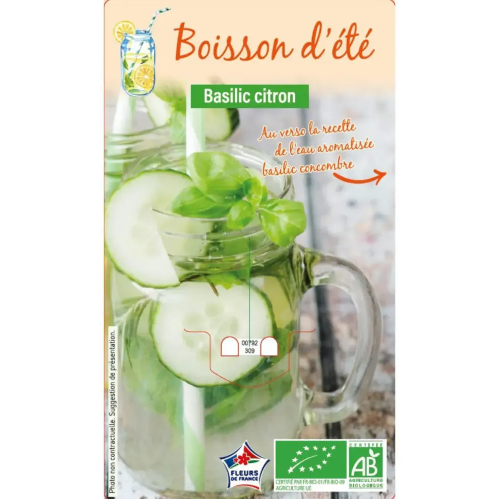 Boisson D'Été Basilic Citron Bio. Le pot de 1 litre