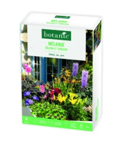 Boite de bulbes de fleurs en mélange pour balcon et terrasse botanic® – 32 bulbes