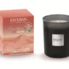 Bougie parfumée initiale senteur terre d'ocre karité Esteban - 180 g