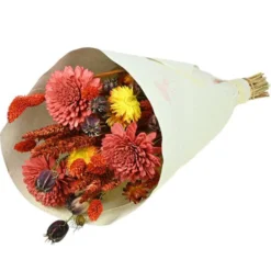 Bouquet de fleurs séchées Naturalys - Bouquet Sola S rouge - 50 cm