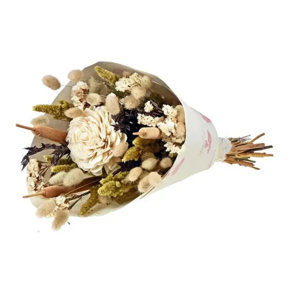 Bouquet de fleurs séchées Sola L Champagne coloris beige - H 55 cm