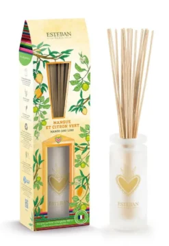 Bouquet parfumé avec sa recharge senteur mangue et citron vert Esteban - 100 ml