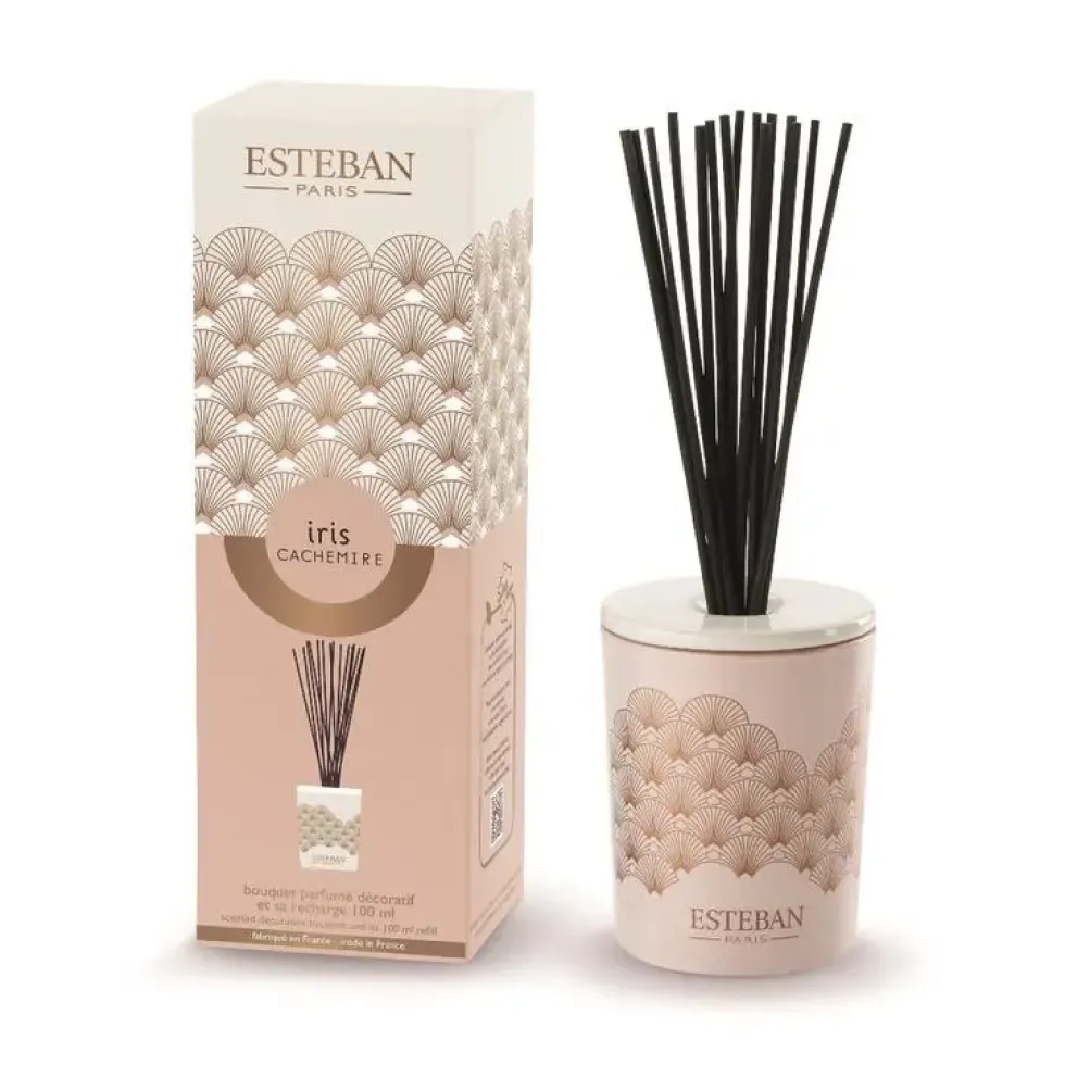 Bouquet parfumé déco et sa recharge Iris cachemire Esteban - 100 ml