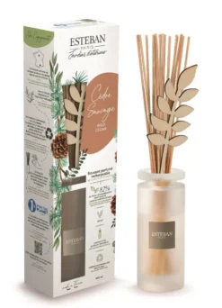 Bouquet parfumé initial avec recharge Cèdre sauvage Esteban - 100 ml