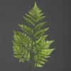 Branche artificielle de fougère verte - 78 cm