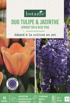 Bulbes de fleurs Mélange tulipe et jacinthe botanic® - 10 bulbes