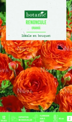Bulbes de fleurs Renoncule asiatique orange botanic® – 12 bulbes