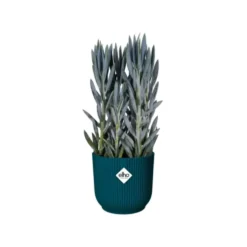 Cache-pot bleu foncé Elho Vibes Fold Mini - Ø 7 cm