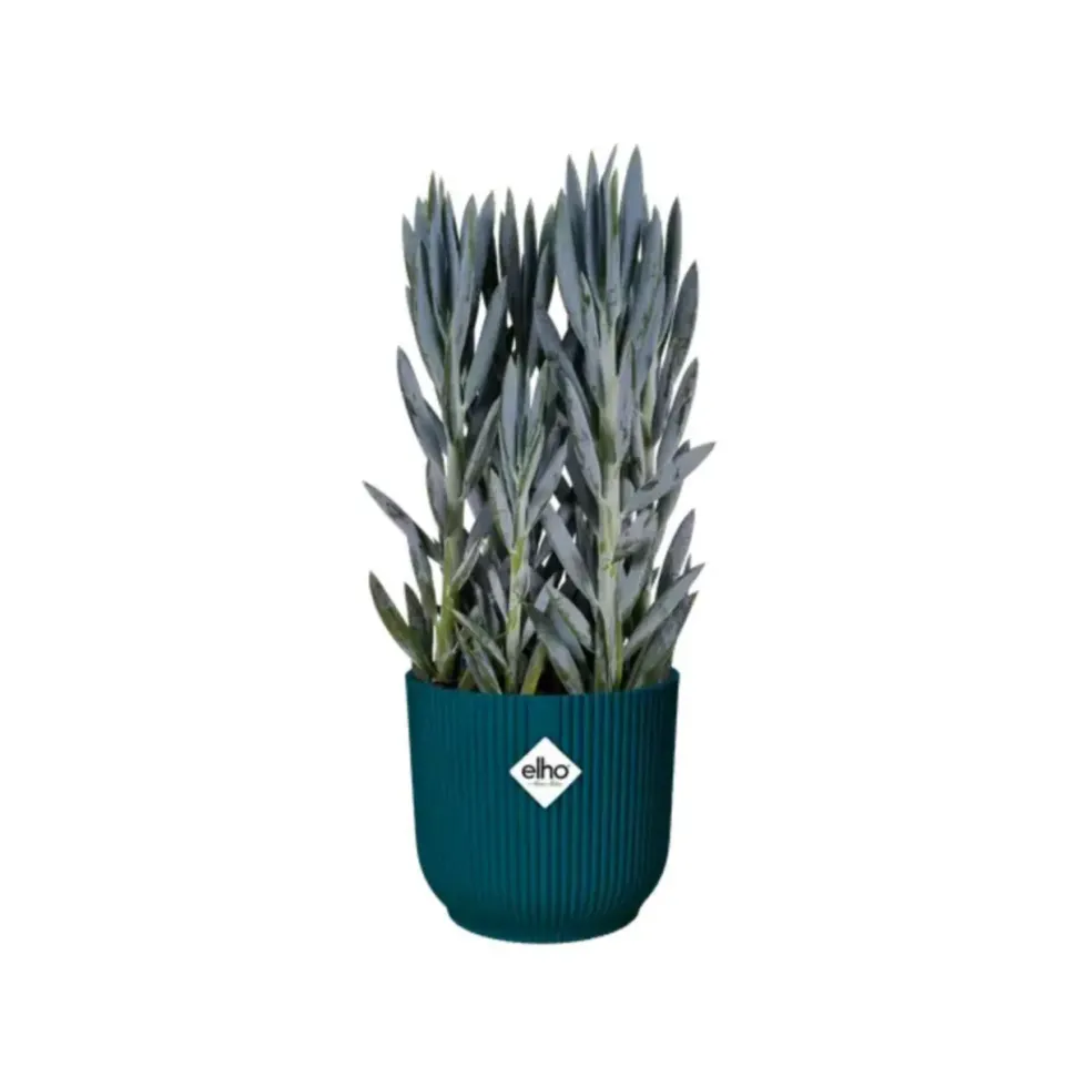 Cache-pot bleu foncé Elho Vibes Fold Mini - Ø 7 cm