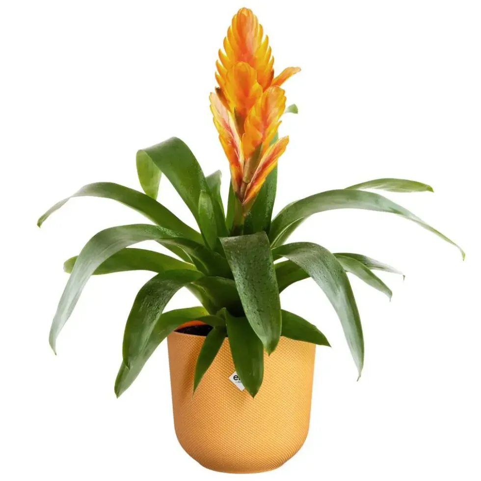 Cache-pot coloris jaune Jazz Elho - Ø 23 cm
