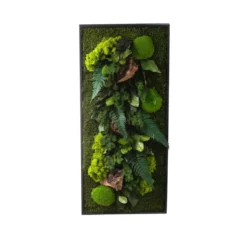 Cadre stabilisé canopée Naturalys rectangle L - 40 x 90 cm