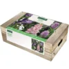Cagette de 60 bulbes pour massif biodiversité botanic®