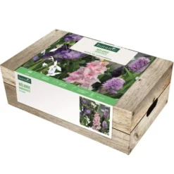 Cagette de 60 bulbes pour massif biodiversité botanic®
