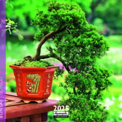 Calendrier 2025 Bonsai coloris multicolore Aquarupella - 16,5 x 16,5 cm