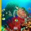 Calendrier 2025 monde sous-marin coloris multicolore Aquarupella - 16,5 x 16,5 cm