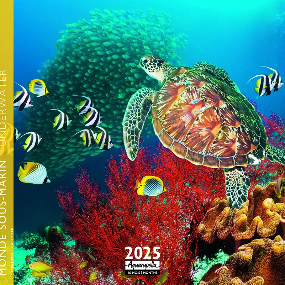 Calendrier 2025 monde sous-marin coloris multicolore Aquarupella - 16,5 x 16,5 cm