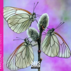 Calendrier 2025 papillons coloris multicolore Aquarupella - 16,5 x 16,5 cm