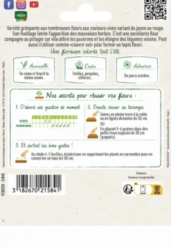 Capucine grande variée Grand jardin Format maxi Vilmorin - graines à semer