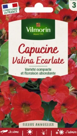 Capucine Valina Écarlate Vilmorin - graines à semer