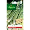 Cardon Plein Blanc Inerme Vilmorin - graines à semer