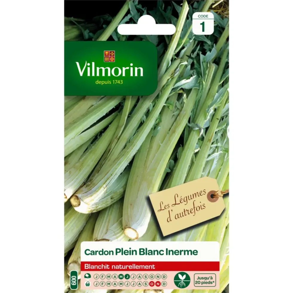 Cardon Plein Blanc Inerme Vilmorin - graines à semer