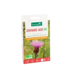 Centaurée bio botanic® - graines à semer (3 m²)