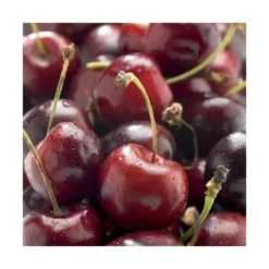 Cerisier Big. Delice De Malicorne ® Agoudel Bio. Le pot de 15 litres