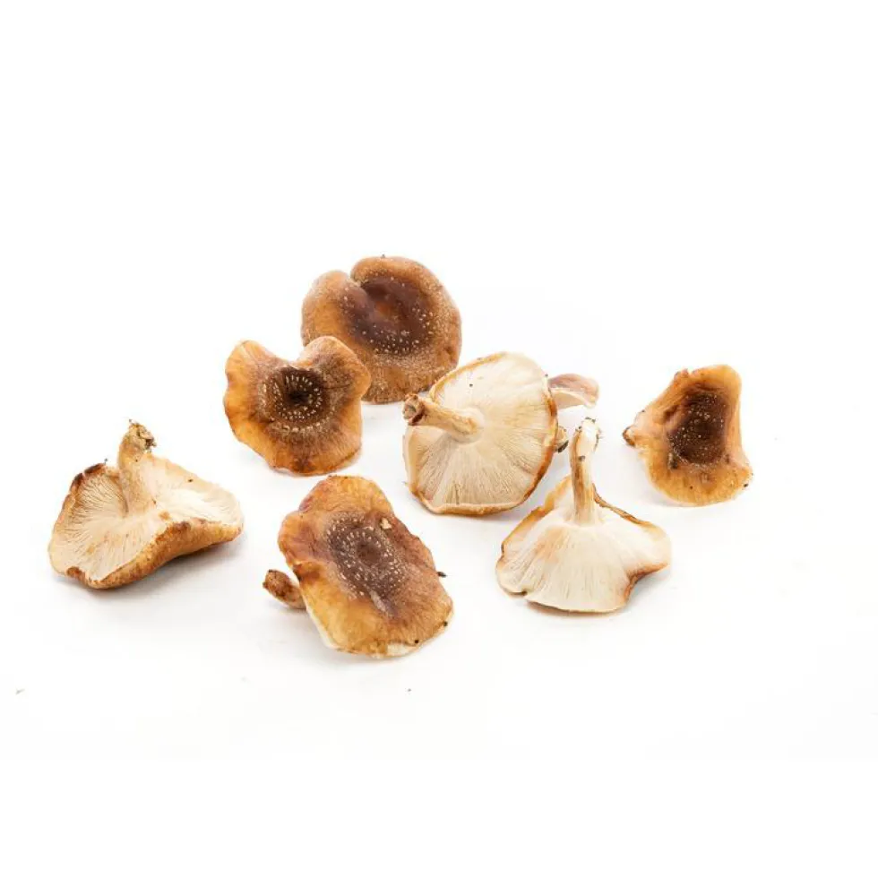 Champignon Shiitake bio de France - Prix au kg