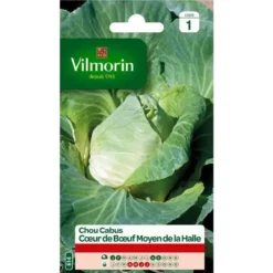 Chou Cabus Cœur de Bœuf Moyen de la Halle Vilmorin - graines à semer
