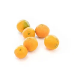 Clémentine bio d'Italie en barquette de 500g - Prix à la pièce