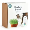 Coffret herbe à chat