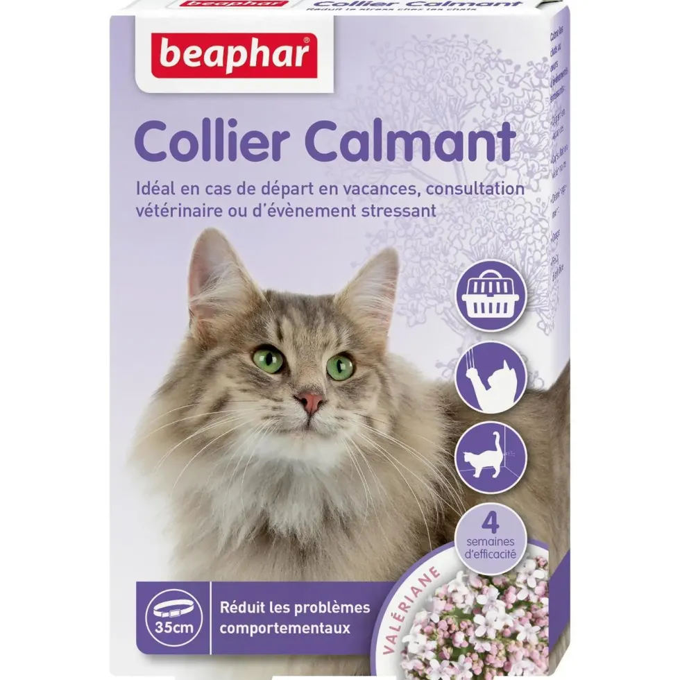 Collier calmant pour chat