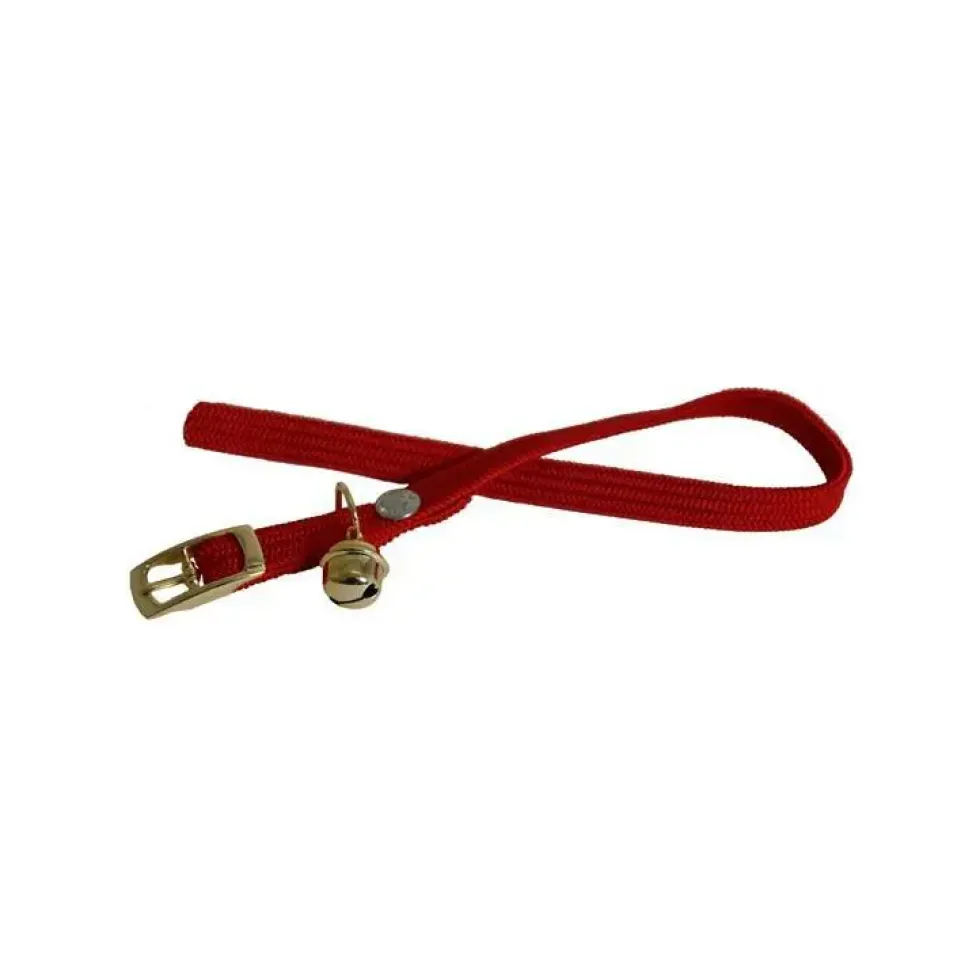 Collier chat 30cm grelot 10mm
