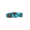 Collier chien réglable 25mm / 45-65cm bleu