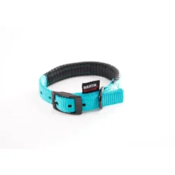Collier droit Confort pour chien coloris turquoise - 2x45 cm
