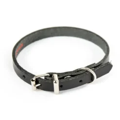 Collier en cuir noir pour chien 1,2x33 cm