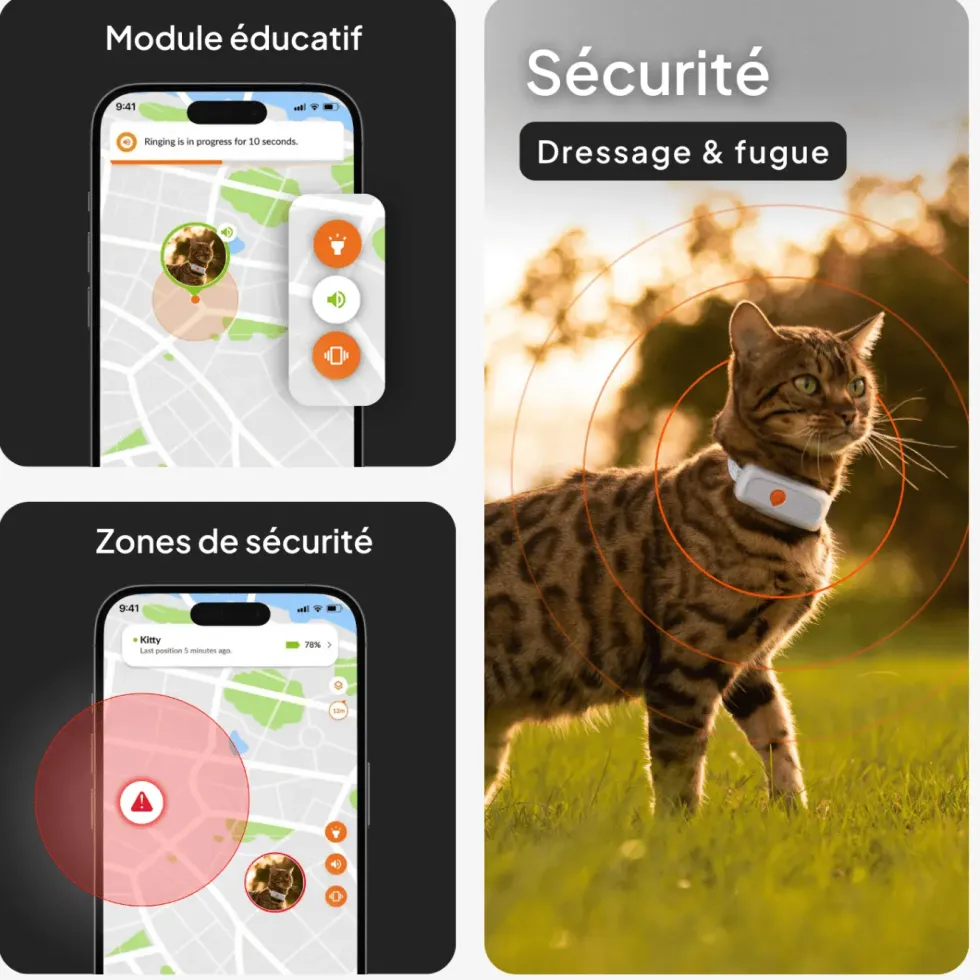 Collier GPS pour chat coloris noir Weenect