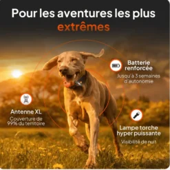 Collier GPS pour chien coloris noir Weenect XT