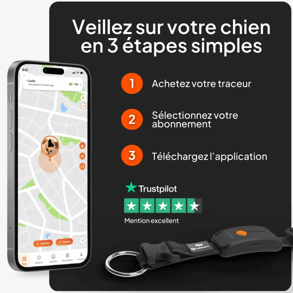 Collier GPS pour chien coloris noir Weenect XT